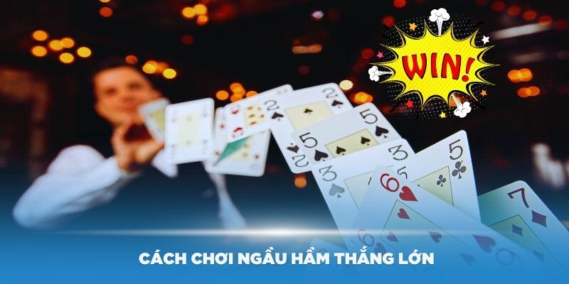 Tìm hiểu cách chơi Ngầu Hầm thắng lớn cùng chuyên gia